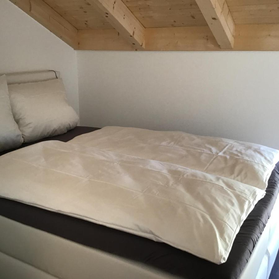 Vista-Apartments Ebersbach  Екстериор снимка